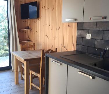 Saint-Jean-Saint-Nicolas Ski Chalet | Mini Chalet Samsara