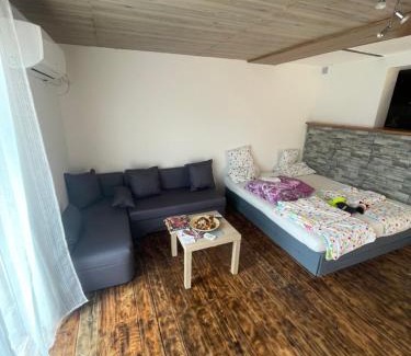 Chrudim Apartment | Mini domek