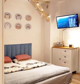 Jedlina-Zdroj Apartment | miniSowa