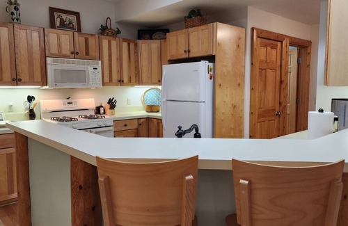 Petoskey Condo | Minutes from Petoskey & Harbor Springs-close to beaches, skiing & more!