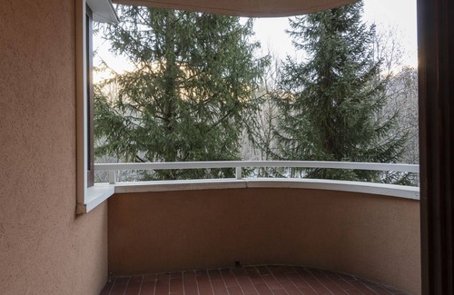 Ponte di Legno Apartment | Mirella Wood - One Bedroom Apartment, Sleeps 4