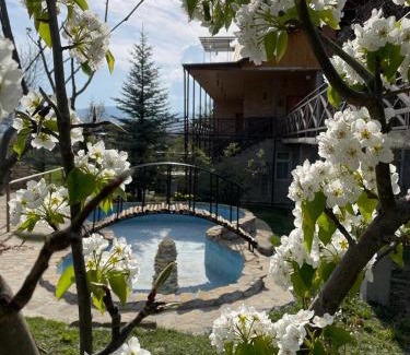 Tsilkani House | Mirioni