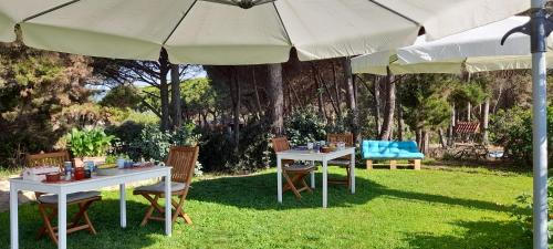 Muravera Bed & Breakfast | Mirto E Mare