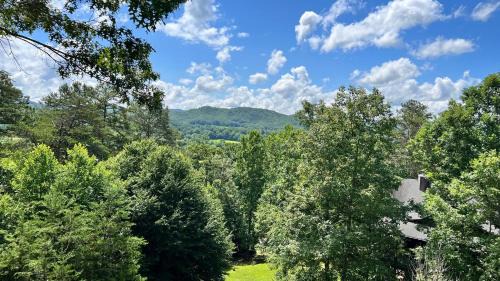 Murphy House | Mistletoe Cabin- Private cabin w views, Hottub, pet friendly