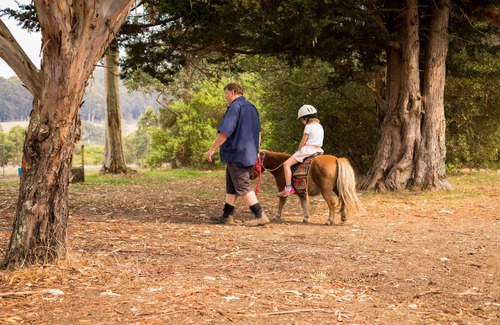 Scotsdale Cottage | Misty Valley Country Cottages