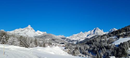 Filzmoos House | Mittersteghof,