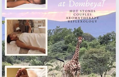 Manzini District Cabin | Mkhiweni 3 Bedroom Villa at Dombeya Wildlife Estate