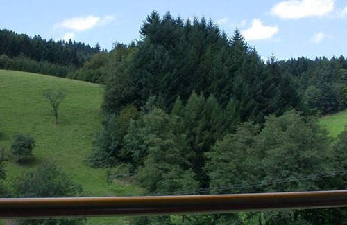 Kollnau Apartment | Mockhof - Bachhüsliblick