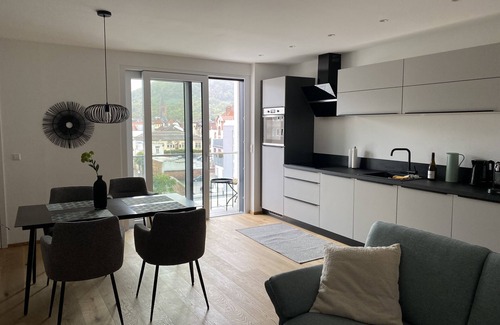 Neustadt an der Weinstrasse Apartment | Modern city apartment