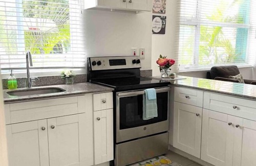 Kingston Apartment | Modern 1BR Condo in Kingston
