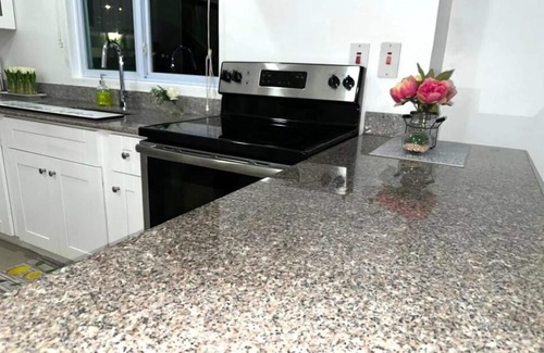 Kingston Apartment | Modern 1BR Condo in Kingston