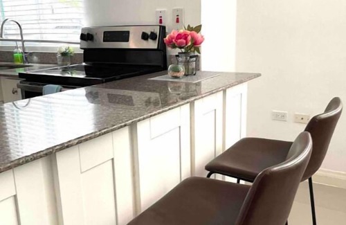 Kingston Apartment | Modern 1BR Condo in Kingston