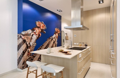 Gothic Quarter Apartment | Modern and comfortable apartment with terrace in the heart of the city