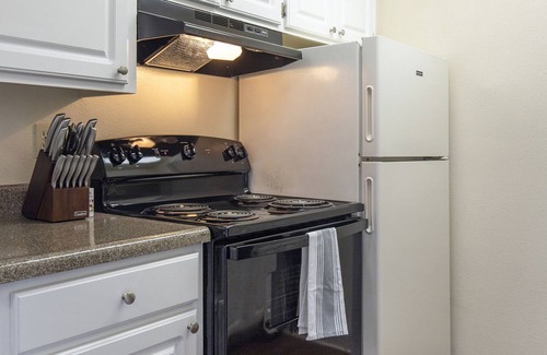 Tucson Apartment | Modern Apartment in Prime Location (ID9664X60)