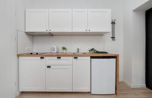 Lodz Apartment | Modern Apartment near Łódź City Center by Noclegi Renters