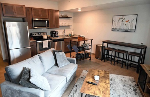 Kutzky Park Apartment | Modern Apartment Near Mayo Clinic – Free Parking!