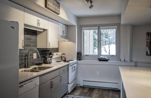 Boulder Ridge Condo | Modern cozy condo located close to ski area and Nordic Center in Breckenridge!