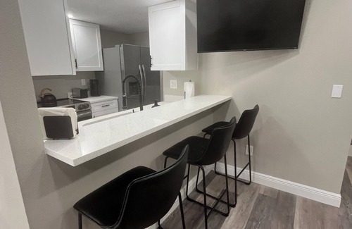 Bearss Plaza House | Modern cozy townhouse- USF-Busch Gardens -Raymond James Stadium -Amelia Arena
