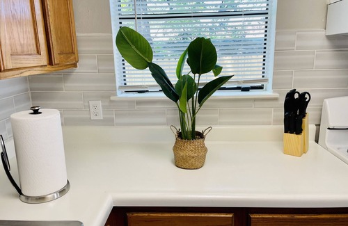 Mahncke Park Apartment | Modern Gem Near Fort Sam Houston