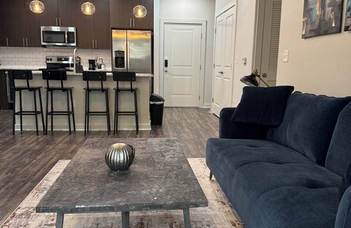 Old East Dallas Apartment | Modern High End Corporate Condo