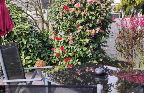 Erkrath House | Modern house 90sqm 2-room. S-W-Terr. Near Düsseldorf