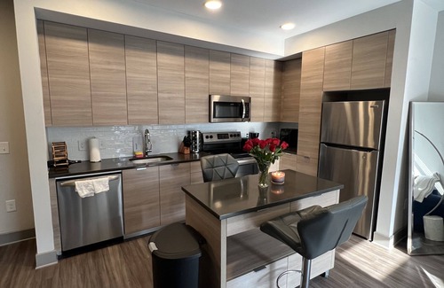 Northeast Apartment | Modern , luxurious, DC apartment with pool and gym