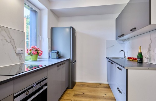 Svoboda nad Upou Apartment | Modern Mountain Terrace Retreat & Pets by Interhome