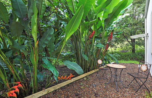 Rosemount Apartment | Modern retreat set amongst tropical garden, central to everything on the Coast.