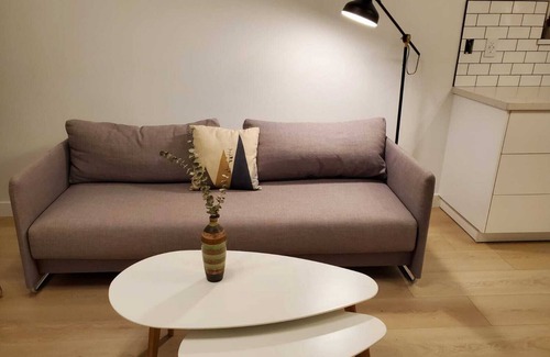Riley Park Apartment | Modern, spacious Main Street Guest Suite, 1 BR