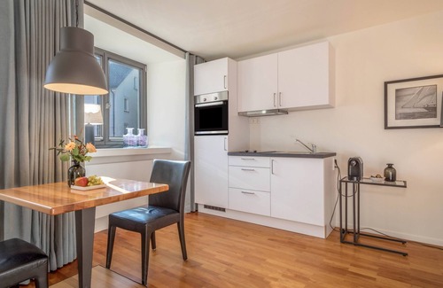 Wangen im Allgaeu Apartment | Modern Studio Apartment No. 14 in the City Center with Wi-Fi
