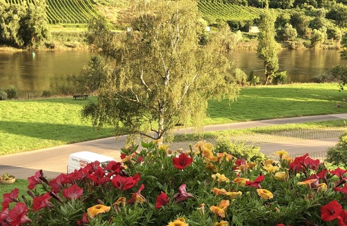 Valwig Apartment | Modern vacation apartment (non-smoking) with direct view of the Moselle