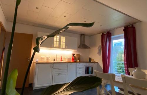 Freudenberg Apartment | Moderne Ferienwohnung Seeblick