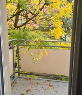Weststadt Mittlerer Teil Apartment | Modernes Apartment mit 3 Zimmern