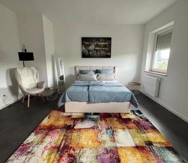 Villingen-Schwenningen House | Modernes Zimmer am Campus 1 mit Gemeinschaftsbad