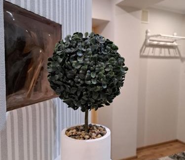 Kielce Apartment | Mokka Apartament