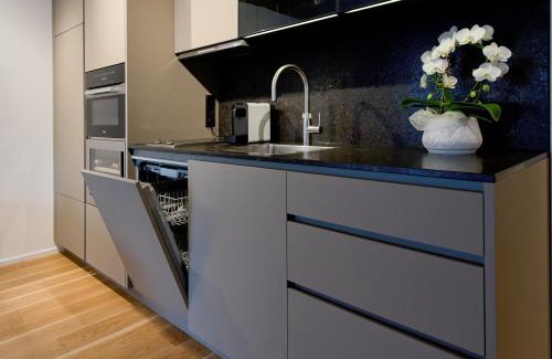 Lipno nad Vltavou Apartment | Molo-Lipno Residence B202