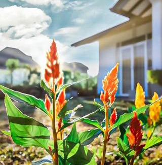 Nuwara Eliya House | Monaara Leisure - NuwaraEliya