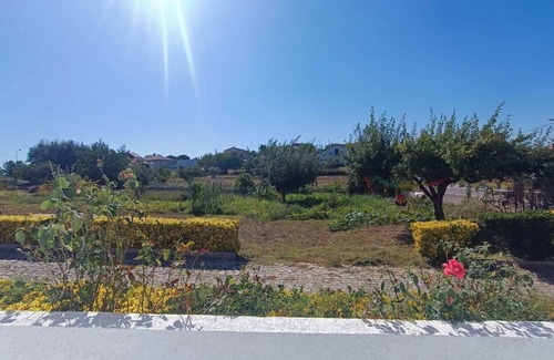 Penacova Apartment | Mondalva Apartments located in village of Quintela, near to São Pedro de Alva
