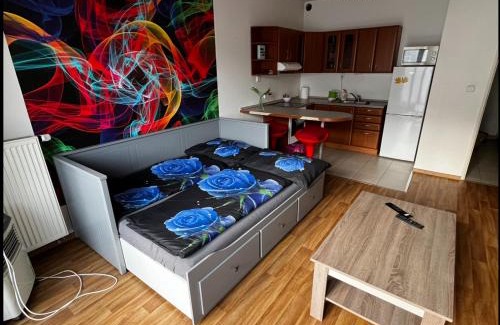 Zabehlice Apartment | MONFas APARTMENT GARDEN CITY
