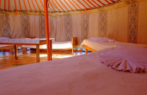 Kharkhorin House | Mongolian National Ger Guesthouse Is 8$ Is Share Room And Ger Owned By Family