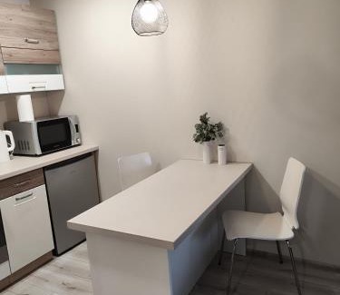 Panevezys Apartment | Monica Apartments