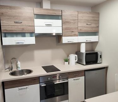 Panevezys Apartment | Monica Apartments