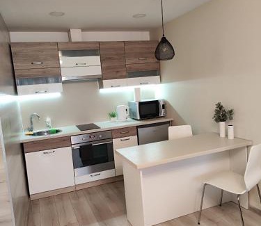 Panevezys Apartment | Monica Apartments