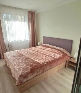 Panevezys Apartment | Monica Apartments