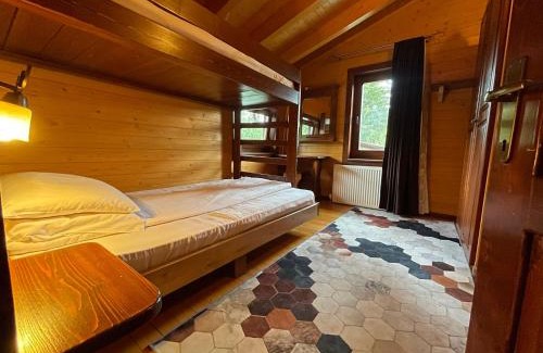 Saru Dornei Ski Chalet | Montana Lodge - Dorna Escape