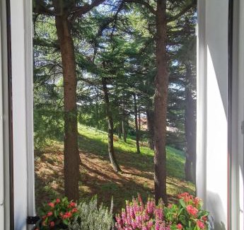 Citta Nuova-Barriera Nuova-San Vito-Citta Vecchia Apartment | Monte 21 - San Giusto