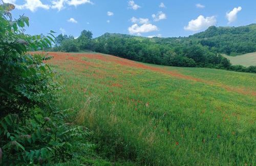 Monterenzio House | Monte Bibele