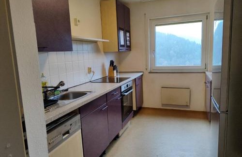 Hirsau Apartment | Monteurwohnung