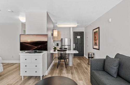 North Burnet Apartment | Monthly Discounts! Modern, Cozy Studio near Domain and UT Austin