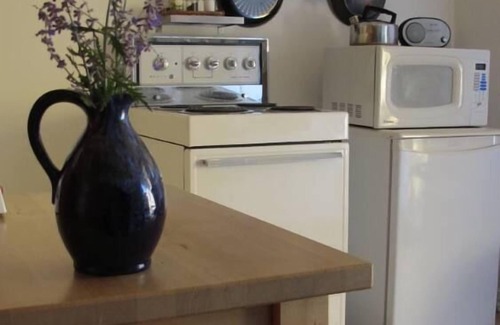 Angus Apartment | Montreal Rosemont: Lovely studio for rent in Montreal